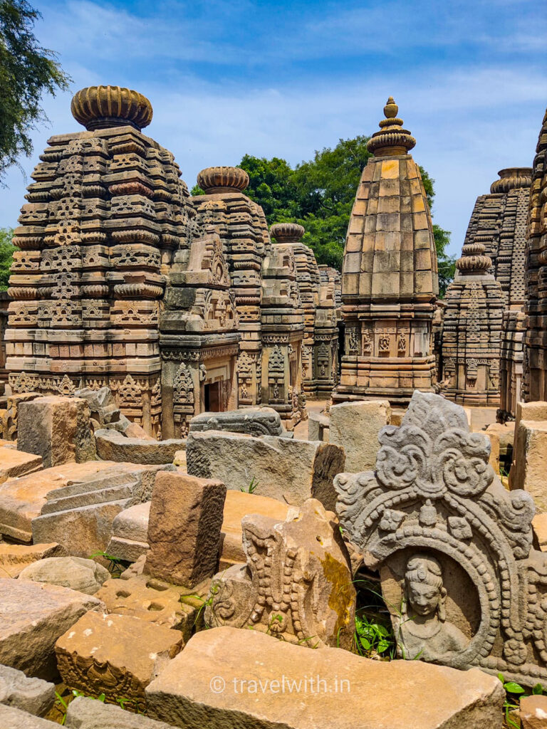 agra-beyond-taj-shiva-temples-bateshwara-temples-ruins-asi-kk-mohammad-travelwith