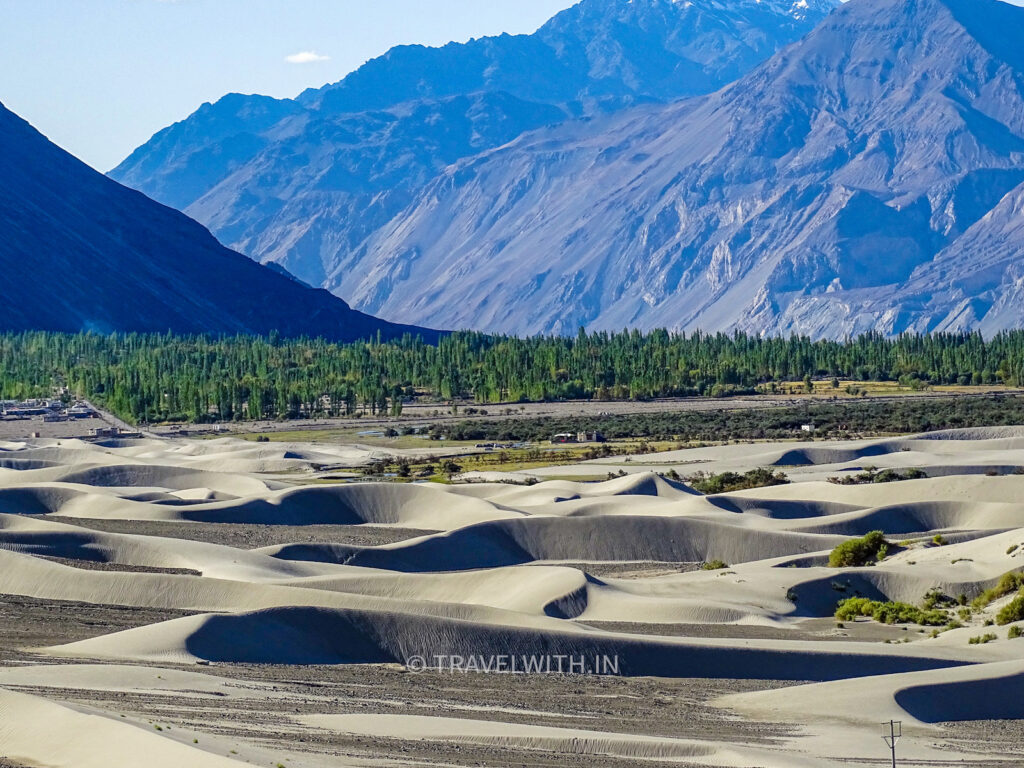 ladakh-nubra-valley-sand-dunes-travelwith