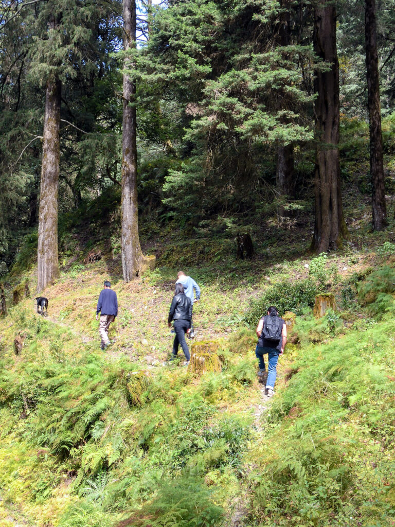 pangot-uttarakhand-hiking-trekking-nature-trails-travelwith