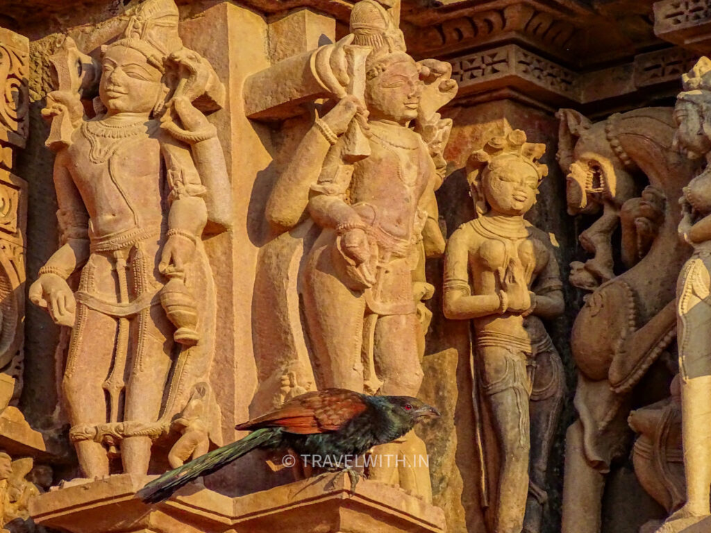 panna-khajuraho-temple-tour-travelwith