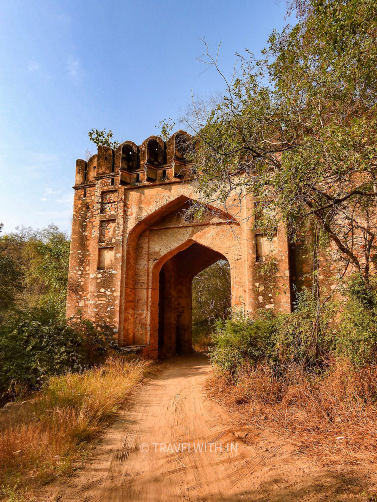 sariska-national-park-kankwadi-fort-travelwith