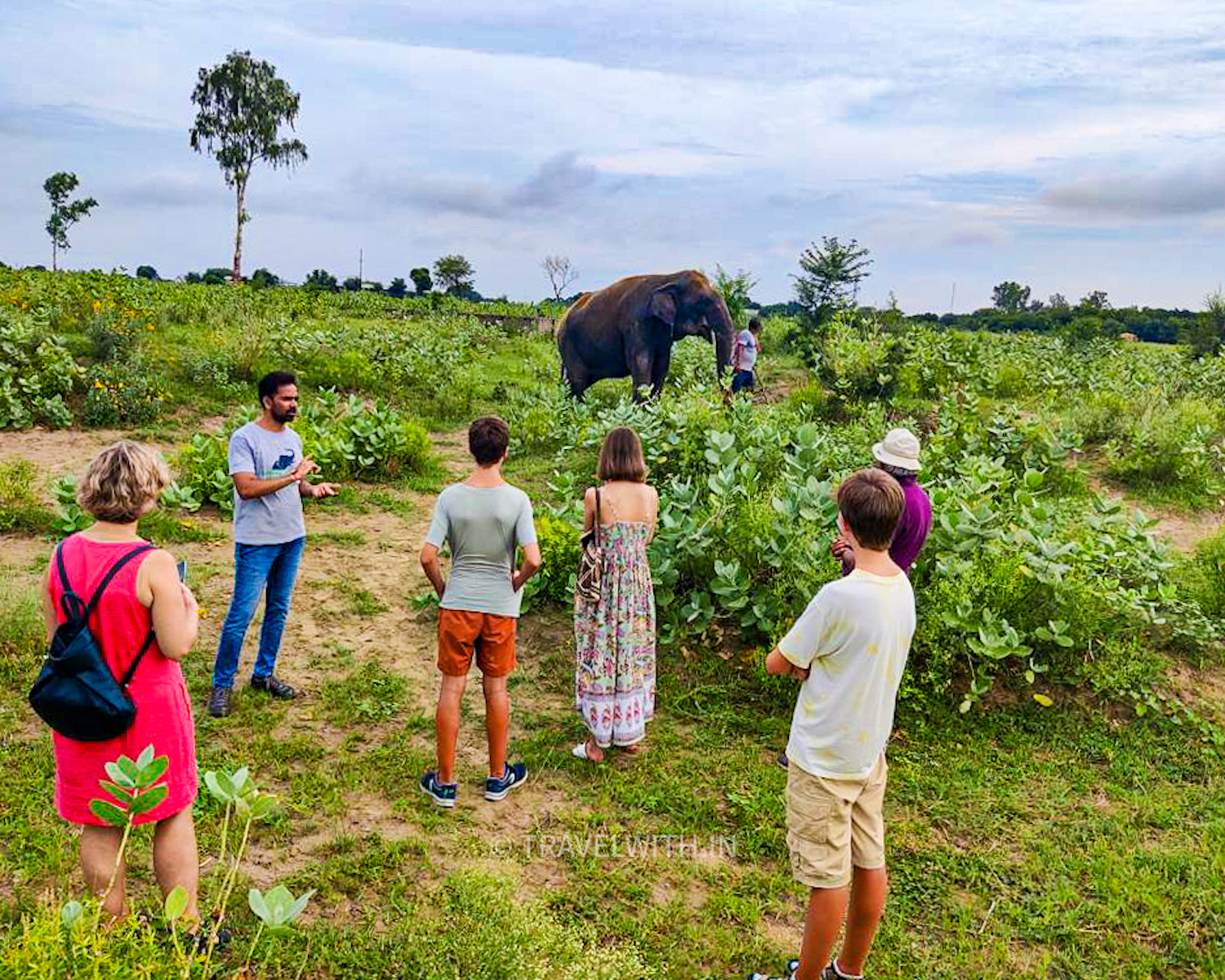 wildlife-sos-elephant-center-conservation-travelwith